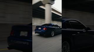 2003 Cobra Pull sonicblue mustang terminator supercharged cobra [upl. by Harland]