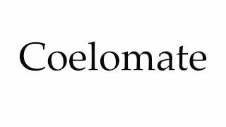 How to Pronounce Coelomate [upl. by Biagio]