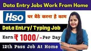 Data Entry Jobs Work from home  HSO Job  12th Pass Job Vacancy 2024  Online Typing Jobs at Home [upl. by Asirahc]