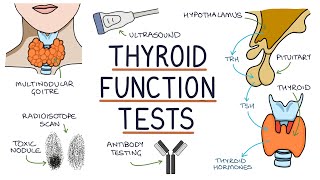 Understanding Thyroid Function Tests [upl. by Iline600]