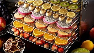 Top 5 BEST FOOD DEHYDRATORS  Top 5 Food Dehydrators  Top 5 Dehydrators Review [upl. by Atsugua955]