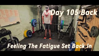 The Path To 15 Boday Fat DAY 105 Back [upl. by Atteve]