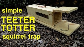 How to Make ● a Simple HUMANE TEETERTOTTER Squirrel Trap [upl. by Evad]