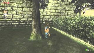 TPHD Skip the first barrier in Hyrule Castle slower [upl. by Lalittah]