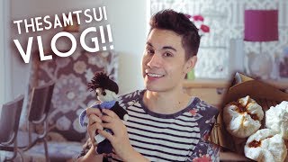 VLOG I Love Pork Buns  Asia Tour 2014 COUNTDOWN  Sam Tsui [upl. by Sayres351]