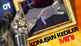 Konuşan Kediler Mini 1  En Komik Kedi Videoları [upl. by Daryn559]