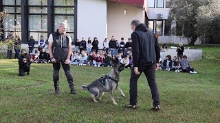 Educazione cinofila alla scuola Robecchi di Vigevano [upl. by Yecnahc]