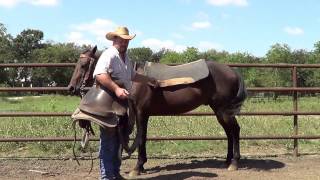 Tack tips for saddling and unsaddling [upl. by Etnohc]