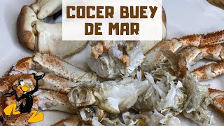 3 TRUCOS para Cocer Buey de Mar 🦀 ¡ÑOCLA COCIDA [upl. by Ansela851]