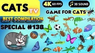 CAT Games  Ultimate Cat TV Compilation Vol 138 ✅ Episode SPECIAL ✅ 8 HOURS 🐝🐞🦋🦎🦜🐜🐭🧵 [upl. by Shandee]