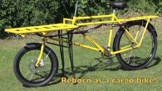 The Carrygo Cargo Bike [upl. by Burnie]