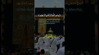 سورۃ الاخلاص کی تلاوت shortsfeed quransurah surahalikhlas [upl. by Seaden]