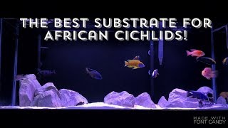 THE BEST SUBSTRATE FOR AFRICAN CICHLIDS  AQUARIUM SANDGRAVEL [upl. by Adnac]