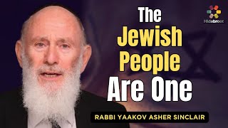 The Oneness of The Jewish People  Parshat Teruma  Rabbi Yaakov Asher Sinclair [upl. by Llenhoj]