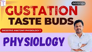 Taste buds Structure Gustation physiology Malayalam Tongue Anatomy Malayalam [upl. by Teragram727]