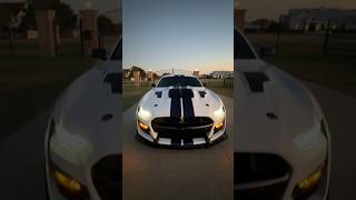 SHELBY GT500KR WIDEBODY SUPER RARE [upl. by Lovmilla24]