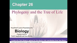 Chapter 26  Phylogeny and the Tree of Life Part 2 [upl. by Atilam]