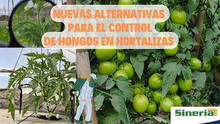 NUEVOS Y POTENTES PRODUCTOS AGRÍCOLAS para la producción y el manejo de hortalizas [upl. by Pearce]