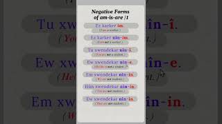 Learn Kurmanji Kurdish Grammar  Negative Forms [upl. by Gerta]