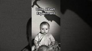 LITTLE ALBERT EXPERIMENT [upl. by Vonnie]