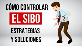 SIBO cómo manejar los síntomas y prevenir recaídas Elisa Blázquez [upl. by Edin]