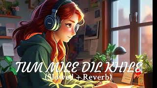 Tum Mile Dil Khile  Lofi Remix  Soothing Chill Beats for Relaxation  Bollywood Lofi by Mood Wave [upl. by Ttoile]