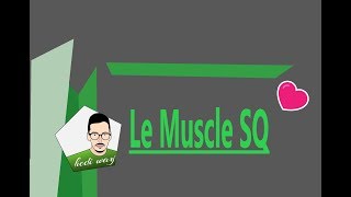 Le Muscle SQ  Part 2  bac tunisie [upl. by Maillw]