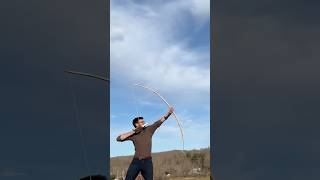 Maple Longbow From Tree to Bow shorts [upl. by Elah]