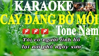 Cay Đắng Bờ Môi  Karaoke Tone Nam  Yêu ca hát  Love Singing [upl. by Atir]