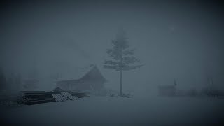 Heavy Blizzard Storm at Night┇Howling Wind amp Blowing Snow┇Sounds for Sleep Study amp Relaxation [upl. by Danialah269]