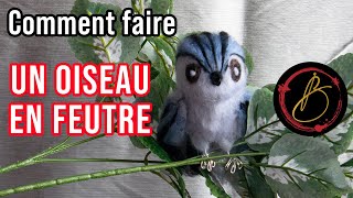 Drôle doiseau feutré à laiguille [upl. by Atnas]