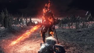 Dark Souls 3 Soul of Cinder Final Boss Fight and Secret Ending 4K 60fps [upl. by Nordgren860]