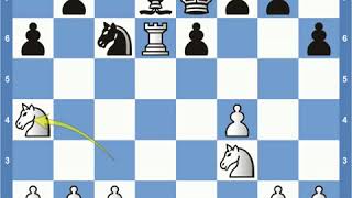 Match of the Century Fischer vs Spassky Game 20 [upl. by Wood]