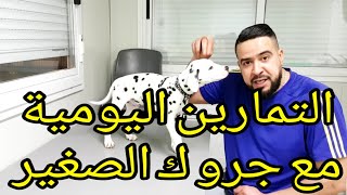 ماهي التمارين لي نقدر نخدمها مع جرو صغير و كم من الوقت تستغرق هذه التمارين comment éduquer un chiot [upl. by Mala]