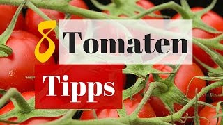 8 Tipps für eine große Tomatenernte  Erfolgreich im Hochbeet Tomaten ziehen [upl. by Im]