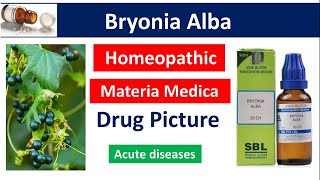 Bryonia Alba Homeopathic Medicine  Drug Picture  Materia Medica bhms bryonia [upl. by Inava]