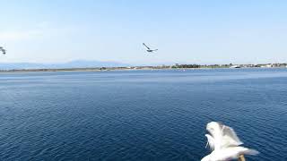 Ferry from Keramoti to Limenas [upl. by Correy]