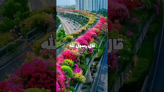 ٥ نوفمبر ٢٠٢٤ [upl. by Notirb]