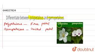 Differentiate between polypetalous and gamopetalous  9  THE FLOWER  BIOLOGY  ICSE  Doubt [upl. by Zackariah]