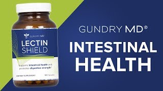 Lectin Shield  Intestinal Health Support  Gundry MD [upl. by Itagaki946]