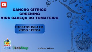 CANCRO CÍTRICO GREENING E VIRA CABEÇA DO TOMATEIRO [upl. by Lois574]