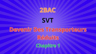 2BACSVT CH1 Libération de lénergie emmagasinée dans la  Devenir Des Transporteurs Réduits [upl. by Key]