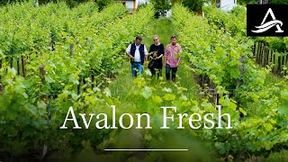 Lets Dish Dig in to Delicious with Avalon Waterways [upl. by Oned]