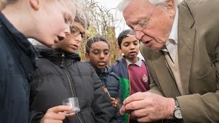 David Attenborough  Conserving Wonder [upl. by Yderf]