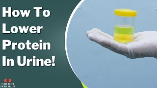 How to lower protein in the urine Diet and medications [upl. by Rasecoiluj865]