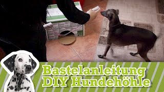 DIY Hundespielzeug selber machen  Hundespielzeug selber bauen [upl. by Fielding469]