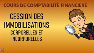 Comment sortir une immobilisation de son bilan [upl. by Yrrab576]