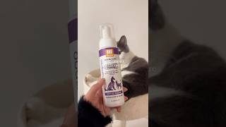 Pet shower sprayer 🧴cat catslifestyle pets shorts petproducts catlover petlover [upl. by Dickinson]