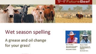 Wet season spelling  A grease and oil change for your grass [upl. by Placidia]