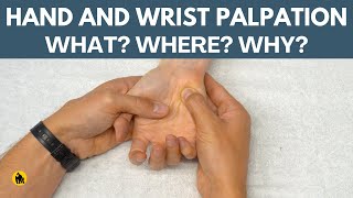 Palpation Of The Wrist and Hand [upl. by Ardella]